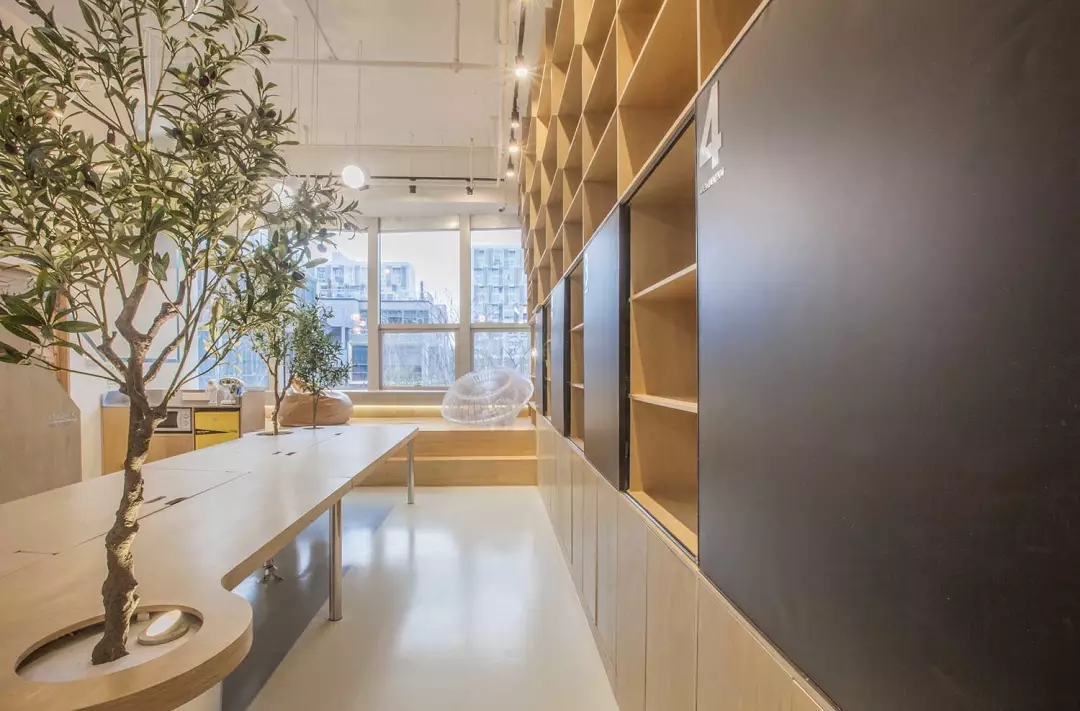 牛在墻上飛，猴子樹梢醉；這是在動物園辦公嗎？